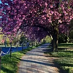 Silence Apartmanhaz