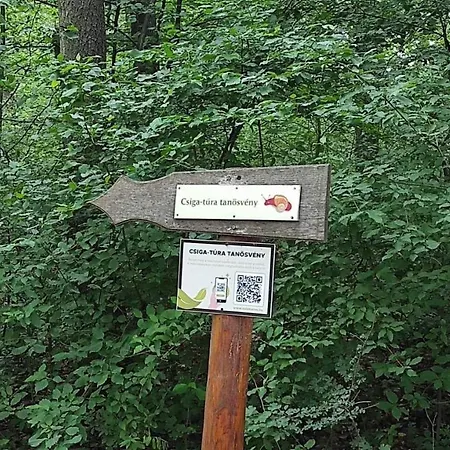 Silence Apartmanhaz * Zalakaros