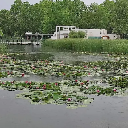 Silence Apartmanhaz Zalakaros